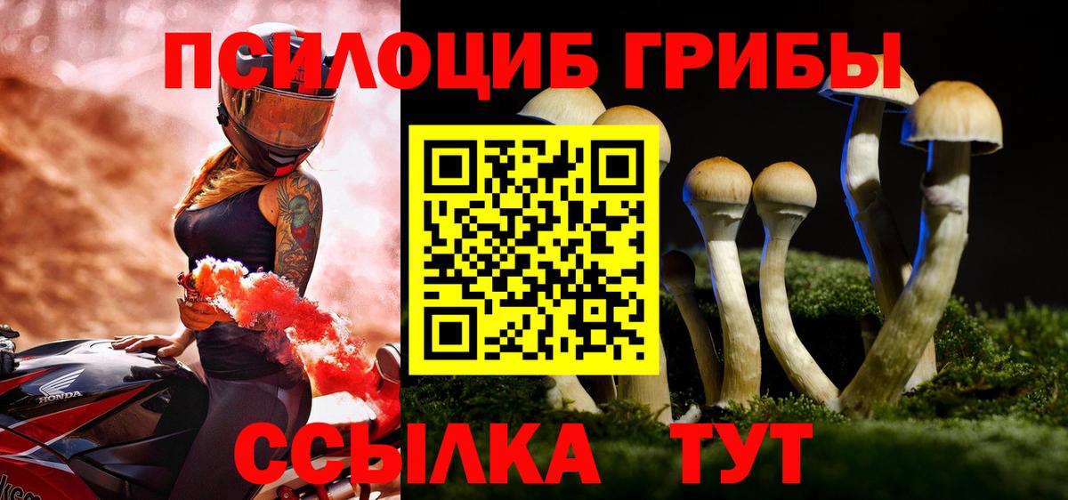 Галлюциногенные грибы Psilocybe Муравленко